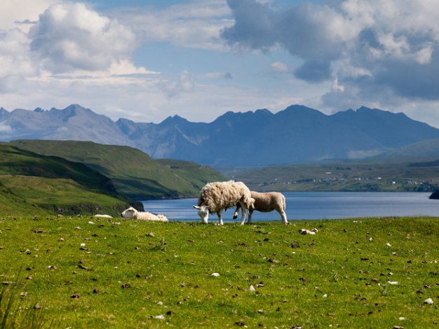 Portree - Struan